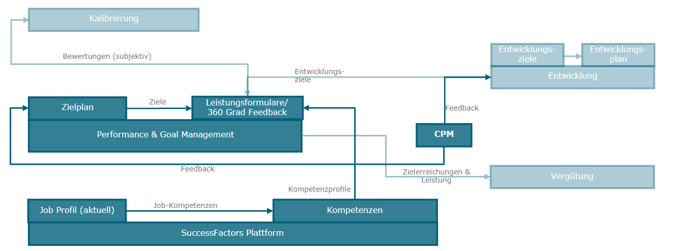 Leistungs- & Zielmanagement im Kontext ausgewählter angrenzender Funktionalitäten in SAP SuccessFactors